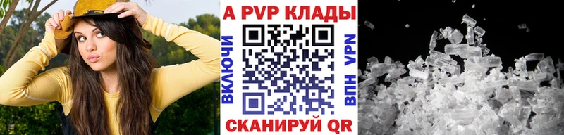 Купить  Харовск  A PVP крисы CK 