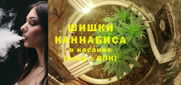 гидропоника Богородицк