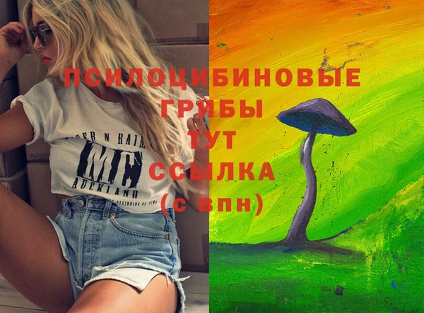 амфетамин Богданович