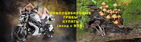 амфетамин Богданович